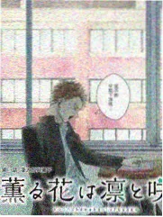 猫町旧书店 榜单缩略图